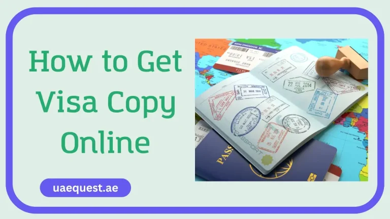 How to Get Visa Copy Online