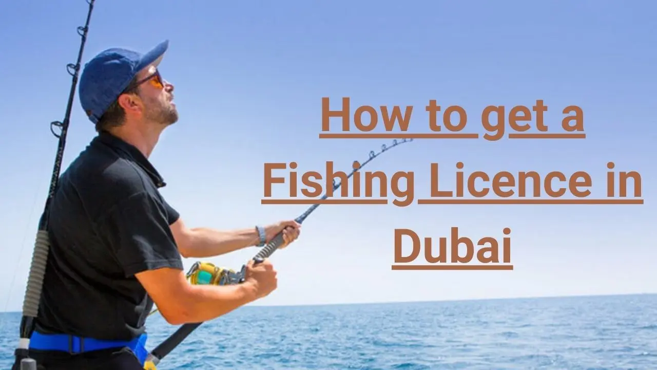 how to get fishing license in dubai