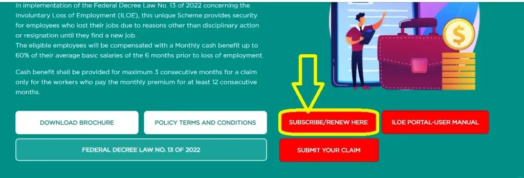 iloe insurance renewal
