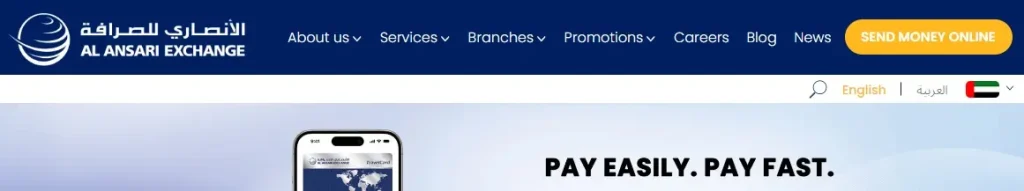 payplus card balance check online