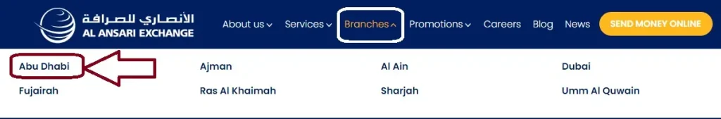 payplus card balance check online