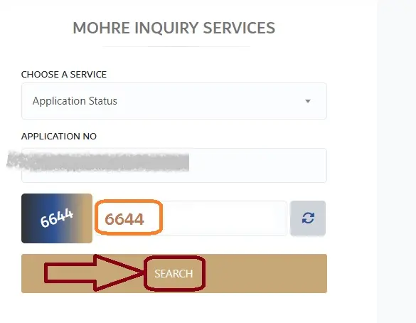 MOHRE Enquiry Status