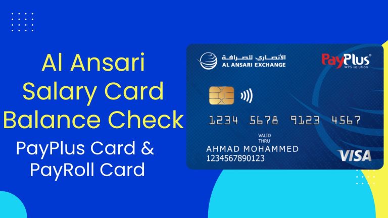 payplus card balance check online