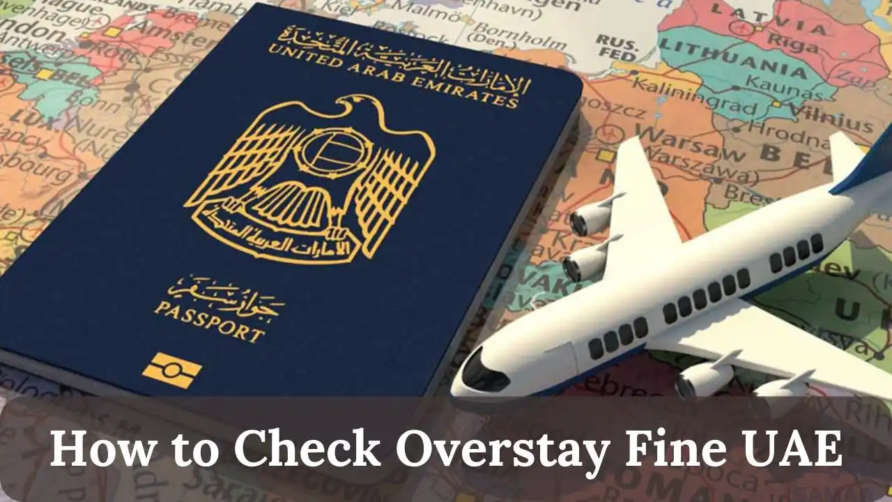overstay fine in uae