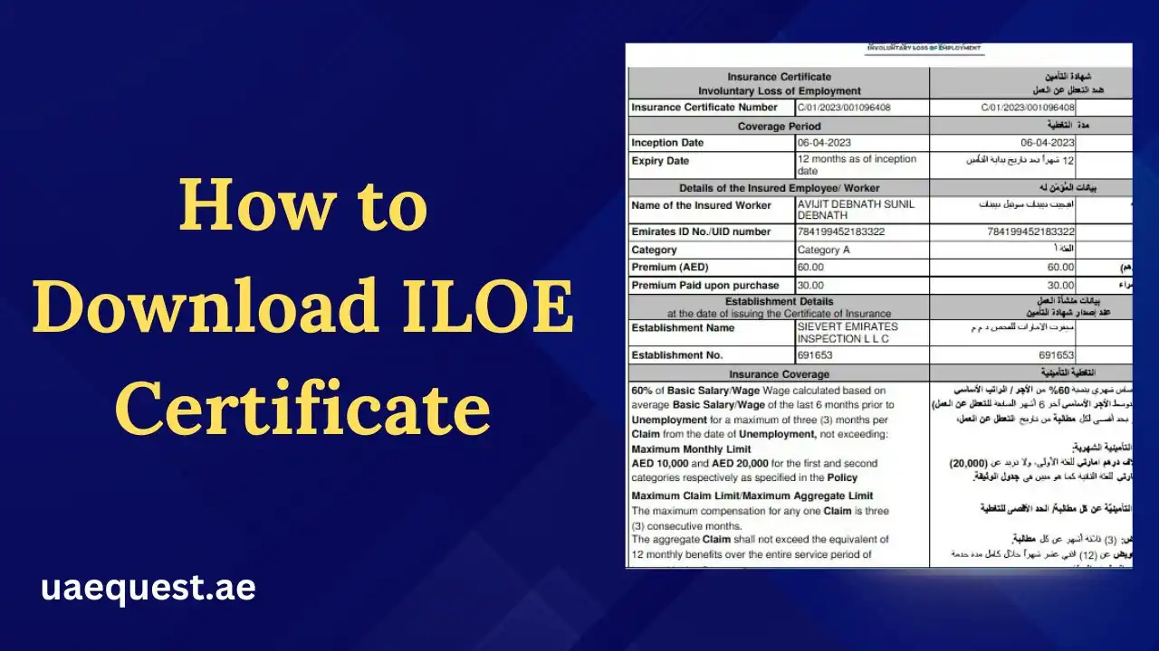 How to Download ILOE Certificate