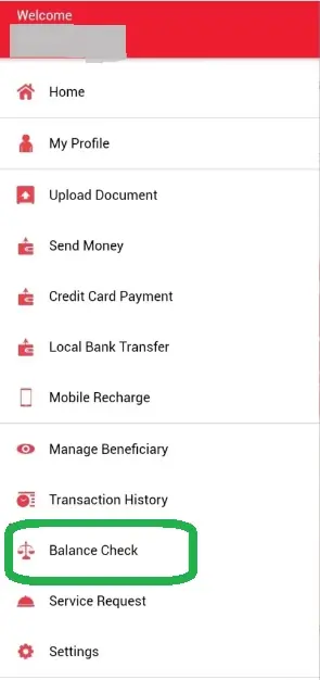 rpay balance enquiry