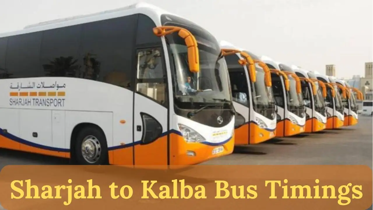 Sharjah to Kalba Bus Timings