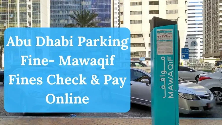 Abu Dhabi Parking Fine Check