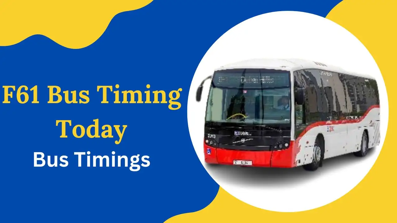 F61 Bus Timing