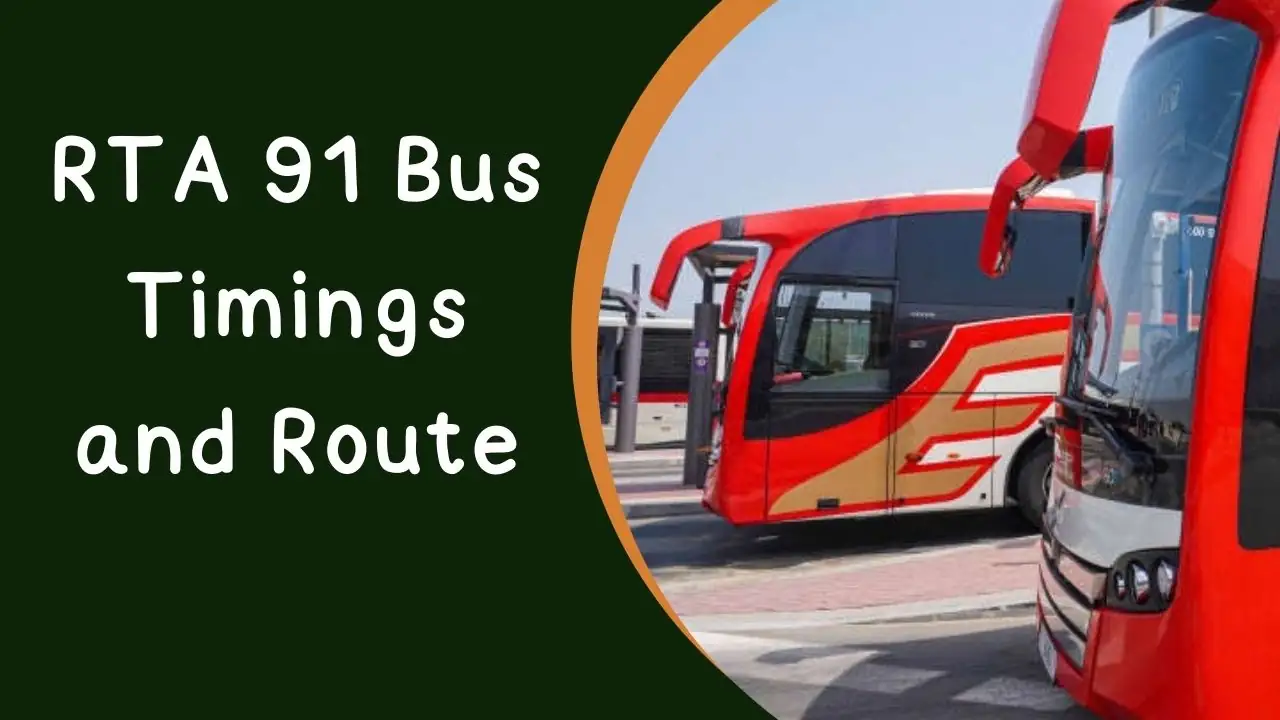 RTA 91 Bus Timings and Route
