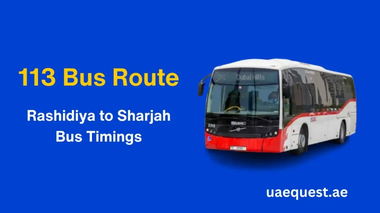 113 Bus Route