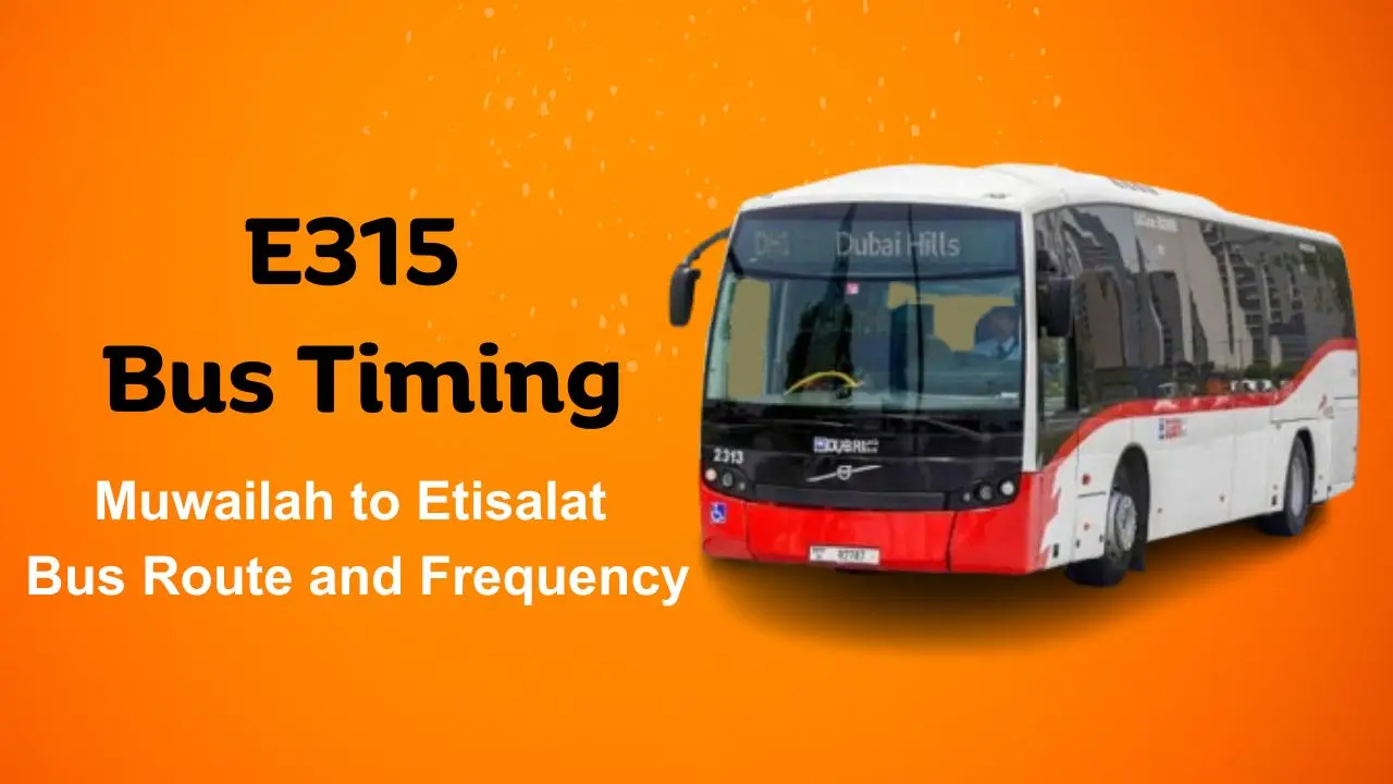 E315 Bus Timing