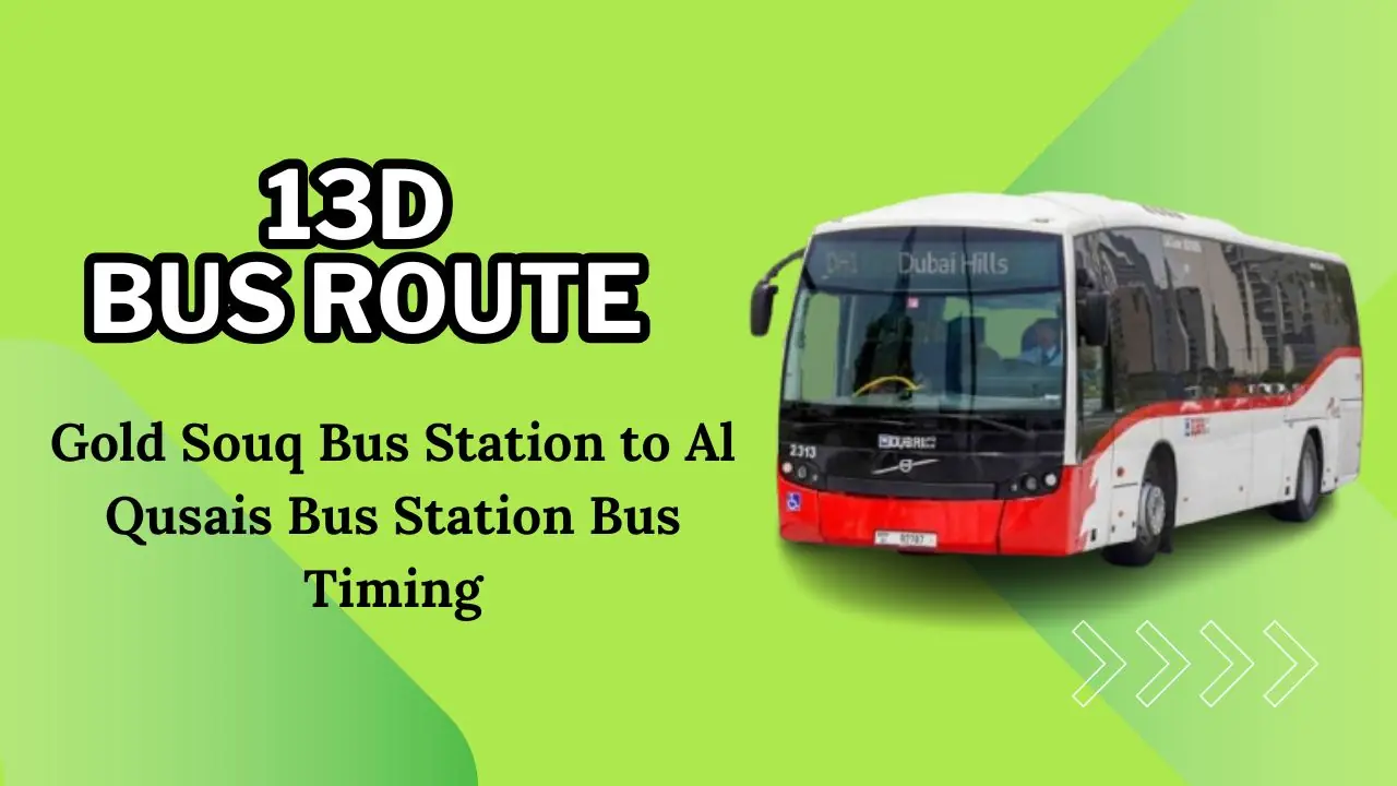 13D Bus Route